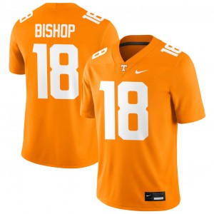 Men's DeSean Bishop Tennessee Orange Tennessee Volunteers #18 College Football 2025 Jerseys 529611-147