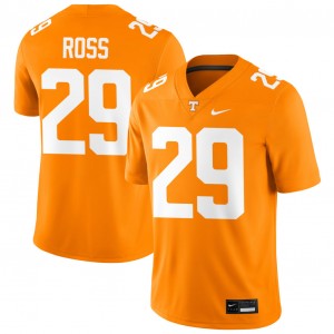 Mens Jordan Ross Tennessee Orange Tennessee Volunteers #29 College Football Replica Jerseys 758853-824