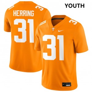 Youth Caleb Herring Tennessee Orange Tennessee Volunteers #31 College Football 2025 Jerseys 975018-998