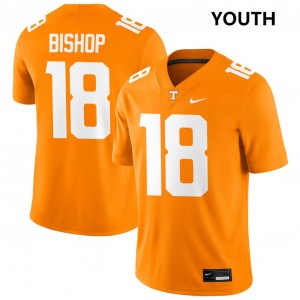 Youth DeSean Bishop Tennessee Orange Tennessee Volunteers #18 College Football NCAA Jerseys 812875-536