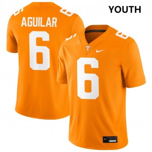 Youth Joey Aguilar Tennessee Orange Tennessee Volunteers #6 College Football High School Jersey 749560-385