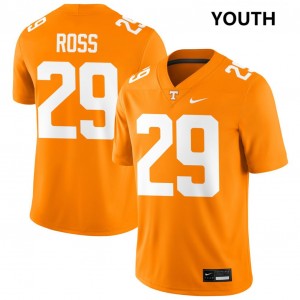 Youth Jordan Ross Tennessee Orange Tennessee Volunteers #29 College Football Player Jerseys 746527-810