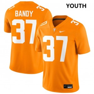 Youth Montrell Bandy Tennessee Orange Tennessee Volunteers #37 College Football Player Jerseys 298339-268